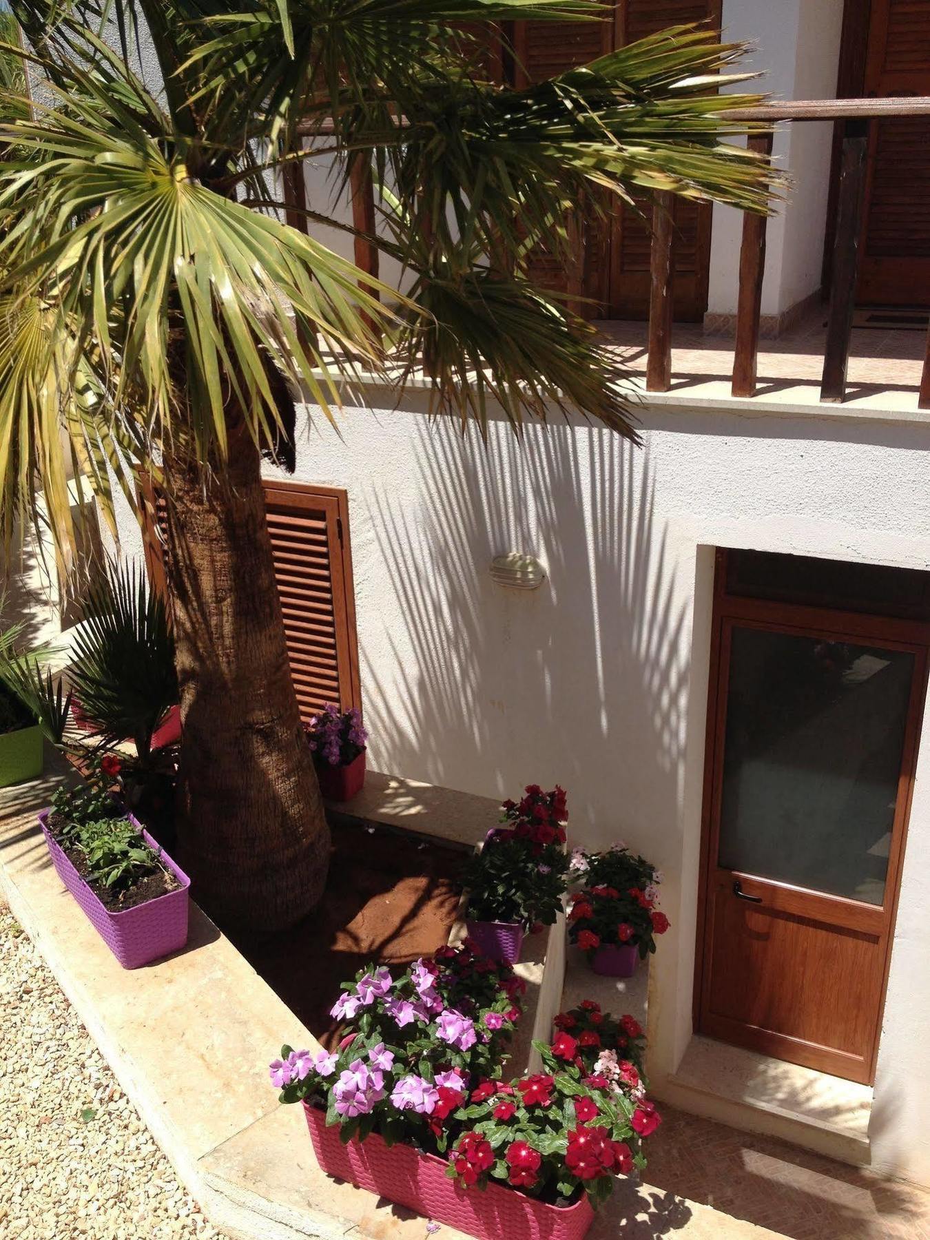 Villa Maria San Vito Lo Capo Eksteriør bilde